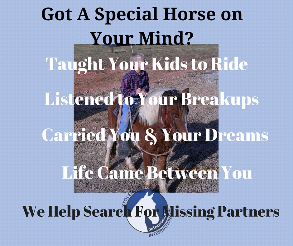 Got A Special Horse on Your Mind-.jpg